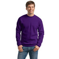 Hanes 7.8 Oz. EcoSmart Crewneck Sweatshirt